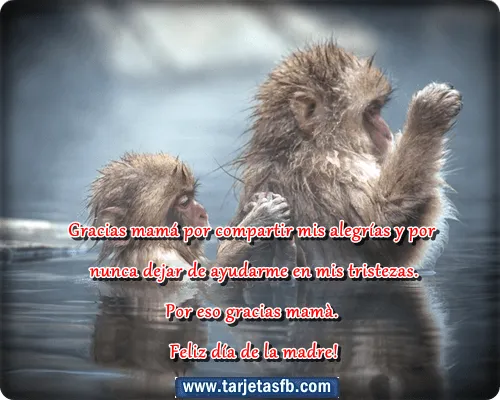 Tarjetas para Facebook Gratis | Postales para Amor y Amistad ...