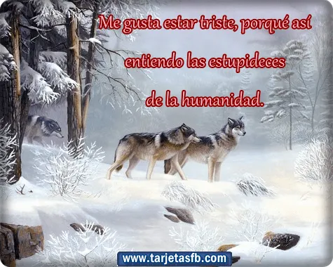 Tarjetas para Facebook Gratis | Postales para Amor y Amistad ...