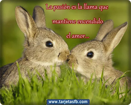Tarjetas para Facebook Gratis | Postales para Amor y Amistad ... Tarjetas para Facebook Gratis | Postales para Amor y Amistad ...