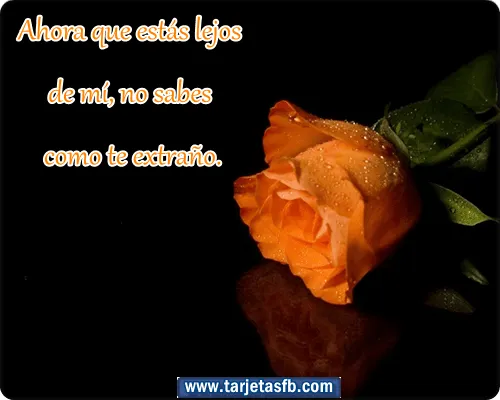Tarjetas para Facebook Gratis | Postales para Amor y Amistad ... Tarjetas para Facebook Gratis | Postales para Amor y Amistad ...