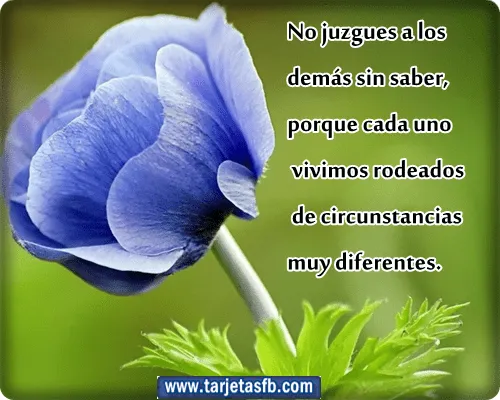 Tarjetas para Facebook Gratis | Postales para Amor y Amistad ... Tarjetas para Facebook Gratis | Postales para Amor y Amistad ...
