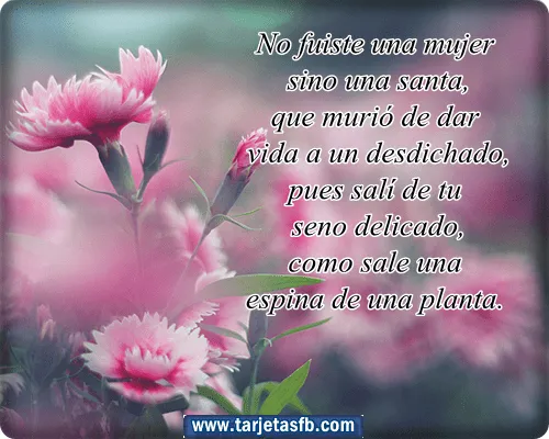 Tarjetas para Facebook Gratis | Postales para Amor y Amistad ... Tarjetas para Facebook Gratis | Postales para Amor y Amistad ...