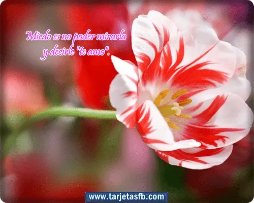 Tarjetas para Facebook Gratis | Postales para Amor y Amistad ... Tarjetas para Facebook Gratis | Postales para Amor y Amistad ...