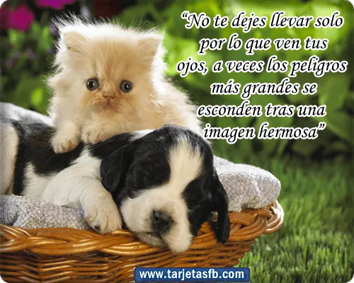 Tarjetas para Facebook Gratis | Postales para Amor y Amistad ... Tarjetas para Facebook Gratis | Postales para Amor y Amistad ...