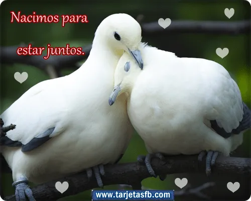 Tarjetas para Facebook Gratis | Postales para Amor y Amistad ...