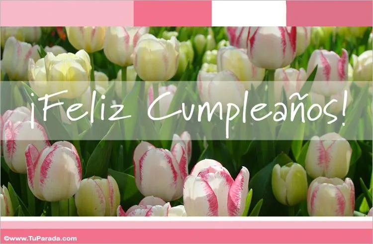 Tarjetas de flores para cumpleaños, postales con flores de cumpleaños