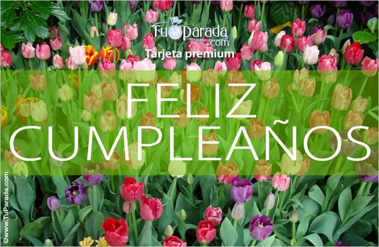 Tarjetas de flores para cumpleaños, postales con flores de cumpleaños