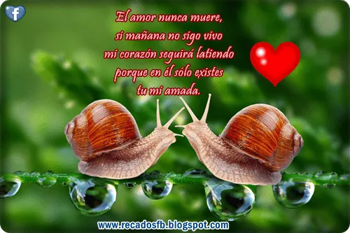 03/14/13 Imagenes bonitas con frases de amor para Facebook 03/14/13 Imagenes bonitas con frases de amor para Facebook