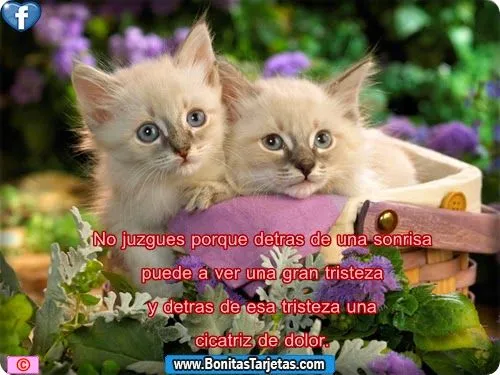 Tarjetas con frases de tristeza - Tarjetas Bonitas para Facebook ...