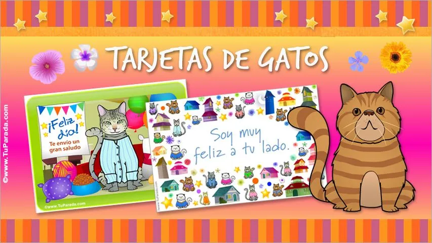 Tarjetas de gatos, postales con mi gato, tarjetas de gatos ...