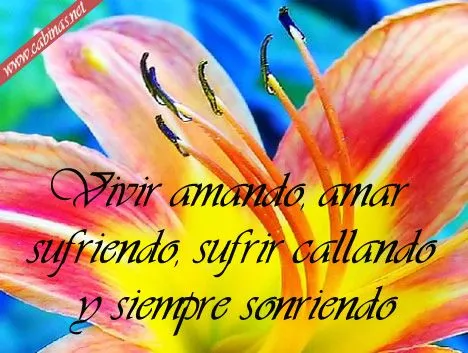 Tarjetitas con mensajes - Imagui