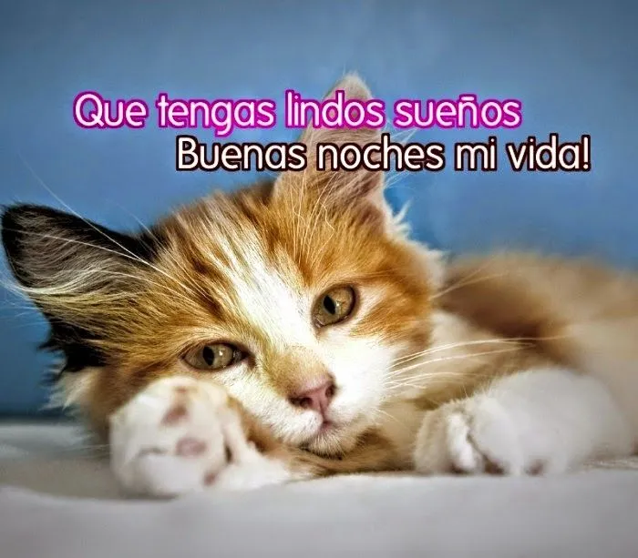 TARJETAS Y MENSAJES DE BUENAS NOCHES - Frases para desear una ...