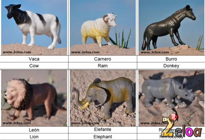 Tarjetas Montessori de animales DIY | 2eloa: bebés, crianza, DIY ... Tarjetas Montessori de animales DIY | 2eloa: bebés, crianza, DIY ...