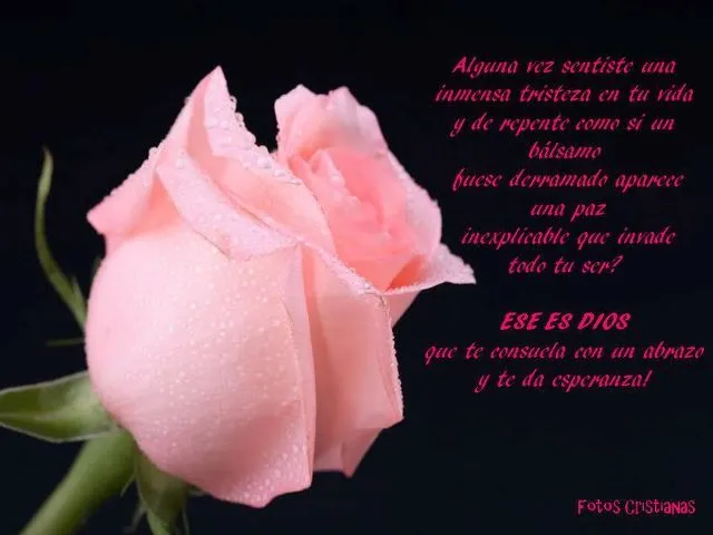 TARJETAS Y POSTALES CRISTIANAS GRATIS | Meditaciones - Reflexiones ... TARJETAS Y POSTALES CRISTIANAS GRATIS | Meditaciones - Reflexiones ...