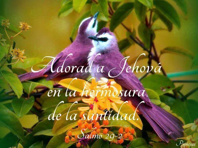 TARJETAS Y POSTALES CRISTIANAS GRATIS - Meditaciones - Reflexiones ...