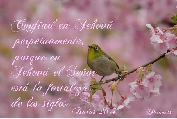TARJETAS Y POSTALES CRISTIANAS GRATIS - Tarjetas y Postales ... TARJETAS Y POSTALES CRISTIANAS GRATIS - Tarjetas y Postales ...