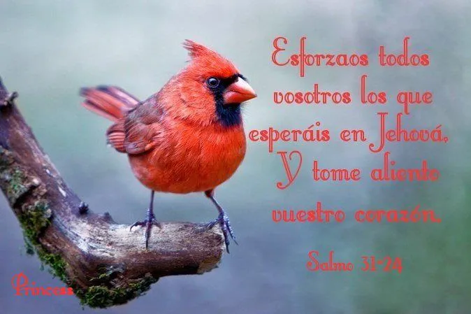 TARJETAS Y POSTALES CRISTIANAS GRATIS - Tarjetas y Postales ...