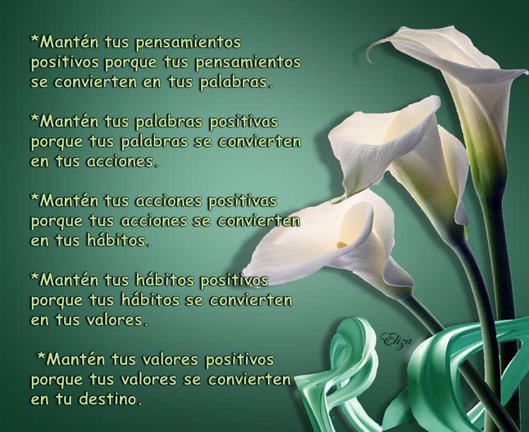 Tarjetas y Postales: Pensamientos positivos Tarjetas y Postales: Pensamientos positivos