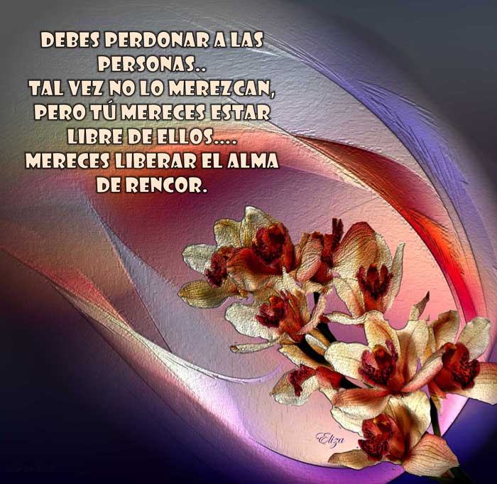 Tarjetas y Postales: Perdonar a las personas