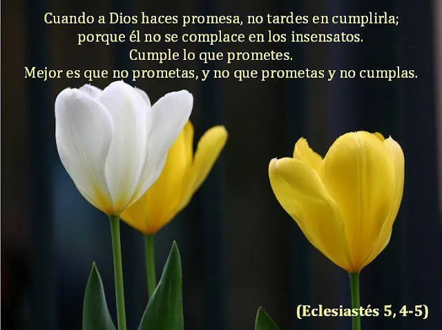 Tarjetas_ Postales _ Recursos cristianos_ Comunidad Cristiana_ ... Tarjetas_ Postales _ Recursos cristianos_ Comunidad Cristiana_ ...