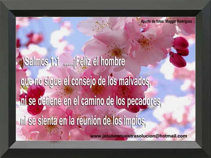 TARJETAS CON SALMOS BIBLICOS - Meditaciones - Reflexiones ...