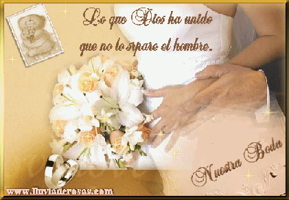 Tarjetas Web de Lluvia de Rosas - Nuestra Boda Tarjetas Web de Lluvia de Rosas - Nuestra Boda