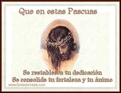 Tarjetas Web de Lluvia de Rosas - Fortaleza y Animo Tarjetas Web de Lluvia de Rosas - Fortaleza y Animo