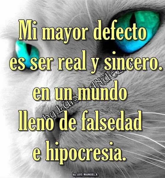 Tarjetitas Mi mayor defecto es ser real y sincero en un mundo ...