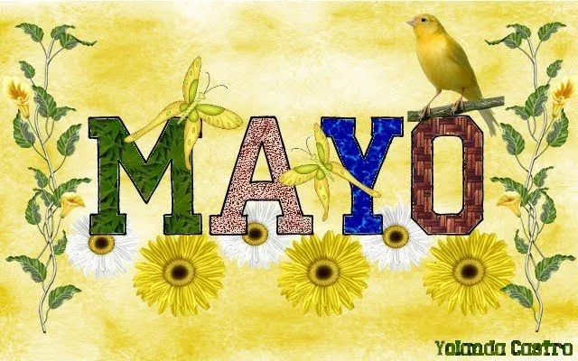 CEIP Tartessos - 6º A: El mes de mayo visto por Yolanda Castro CEIP Tartessos - 6º A: El mes de mayo visto por Yolanda Castro