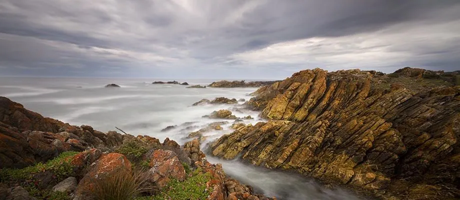 Tasmania By Siddhesh Joshi - Alchetron