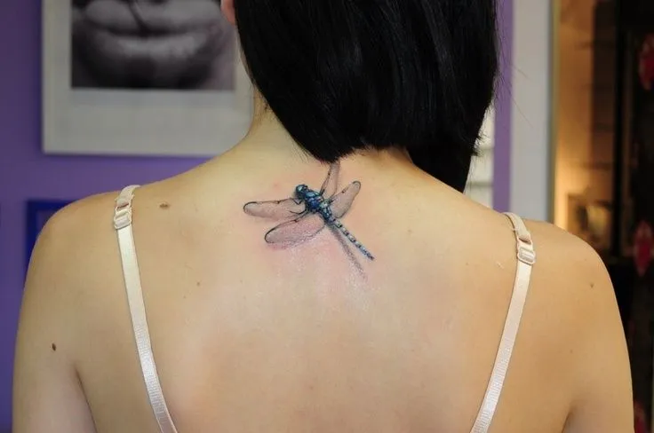 Tatoo 3D libelula | Tatoo | Pinterest | Tatoo Tatoo 3D libelula | Tatoo | Pinterest | Tatoo