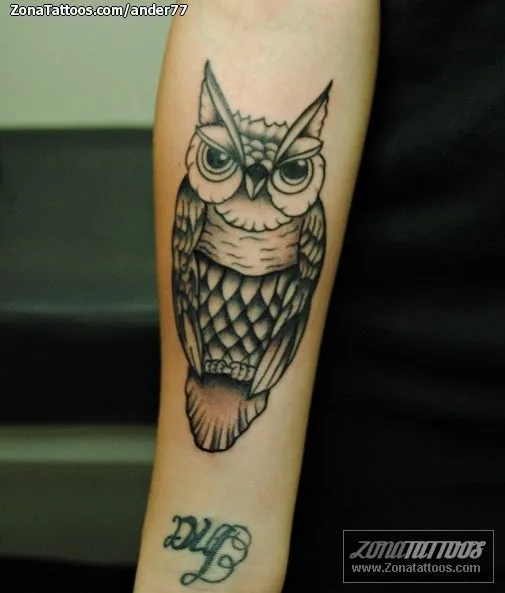 Buho old school tattoo - Imagui