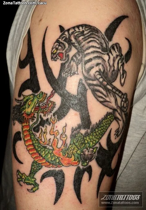 Tatuaje de cacu - Tigres Dragones Orientales