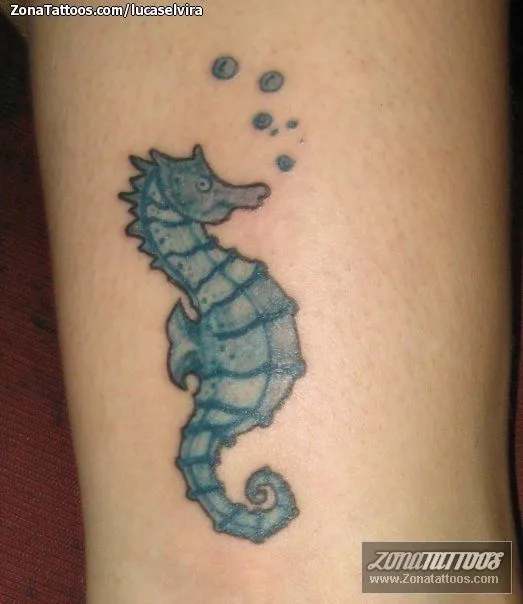 Tatuaje de lucaselvira - Caballitos de mar Animales Tatuaje de lucaselvira - Caballitos de mar Animales