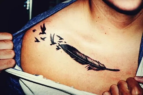 tatuaje de pluma | Tumblr