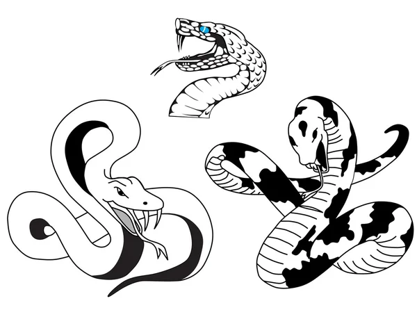 Tatuaje de serpiente — Vector stock © 160377 #5373485