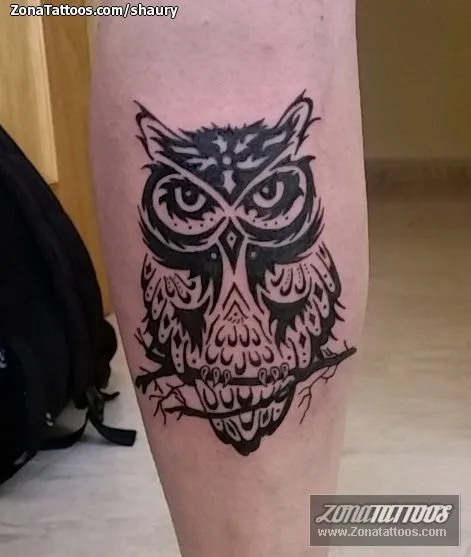Tatuaje de Shaury - Búhos Aves Animales