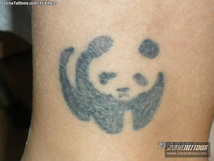 Tattoo oso panda - Imagui