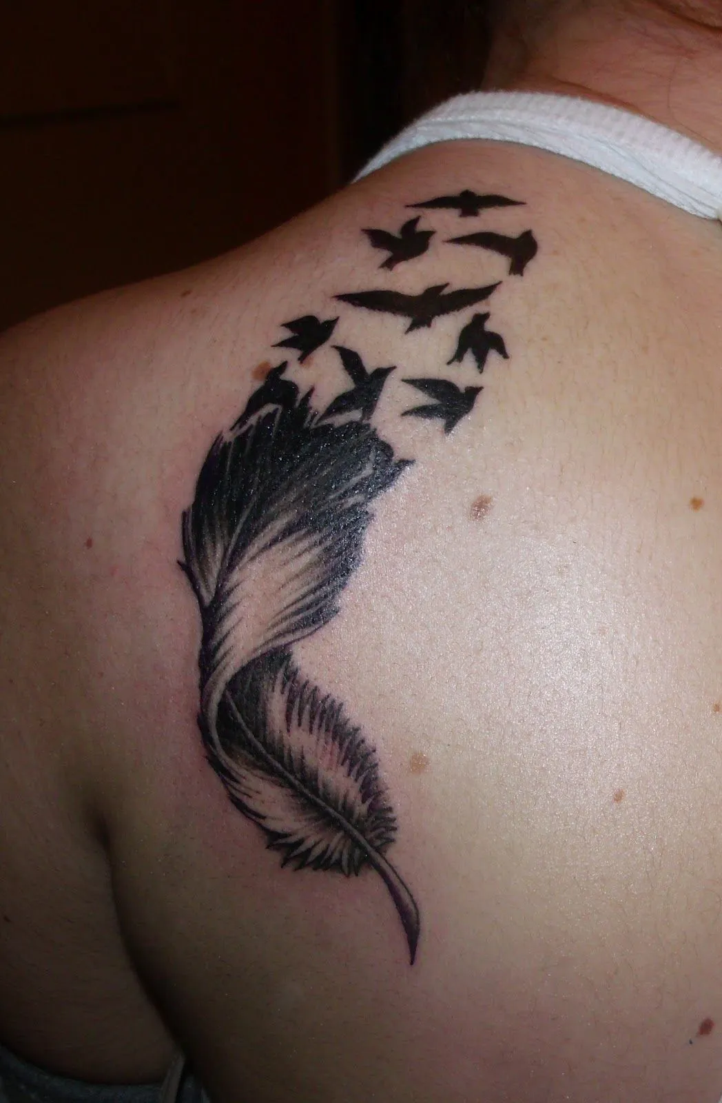 Tatuajes baratos y profesionales: tatuajes 2012 Tatuajes baratos y profesionales: tatuajes 2012