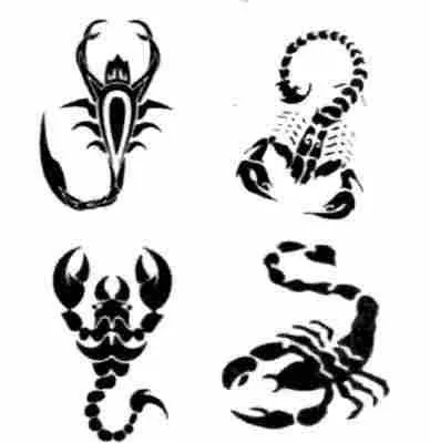 Tatuajes de Escorpiones | DISEÑOS DE TATUAJES