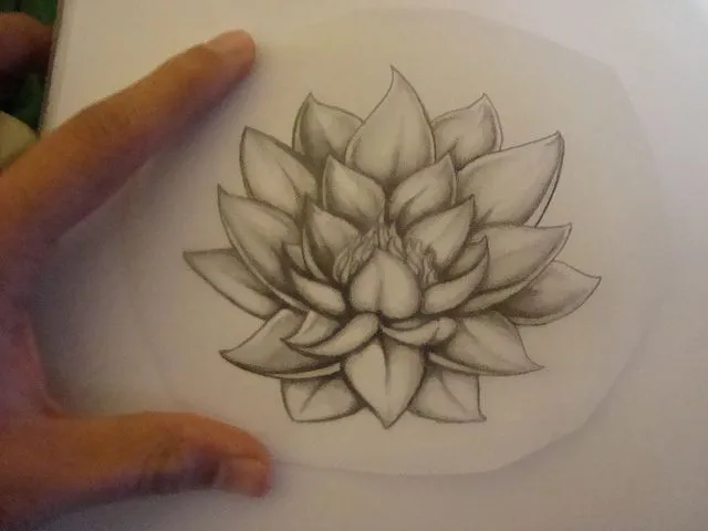 tatuajes flor de loto | Tatuajes | Pinterest