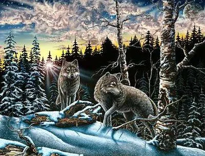 Pagina de Noemi: ¿Cuantos lobos ves aqui?