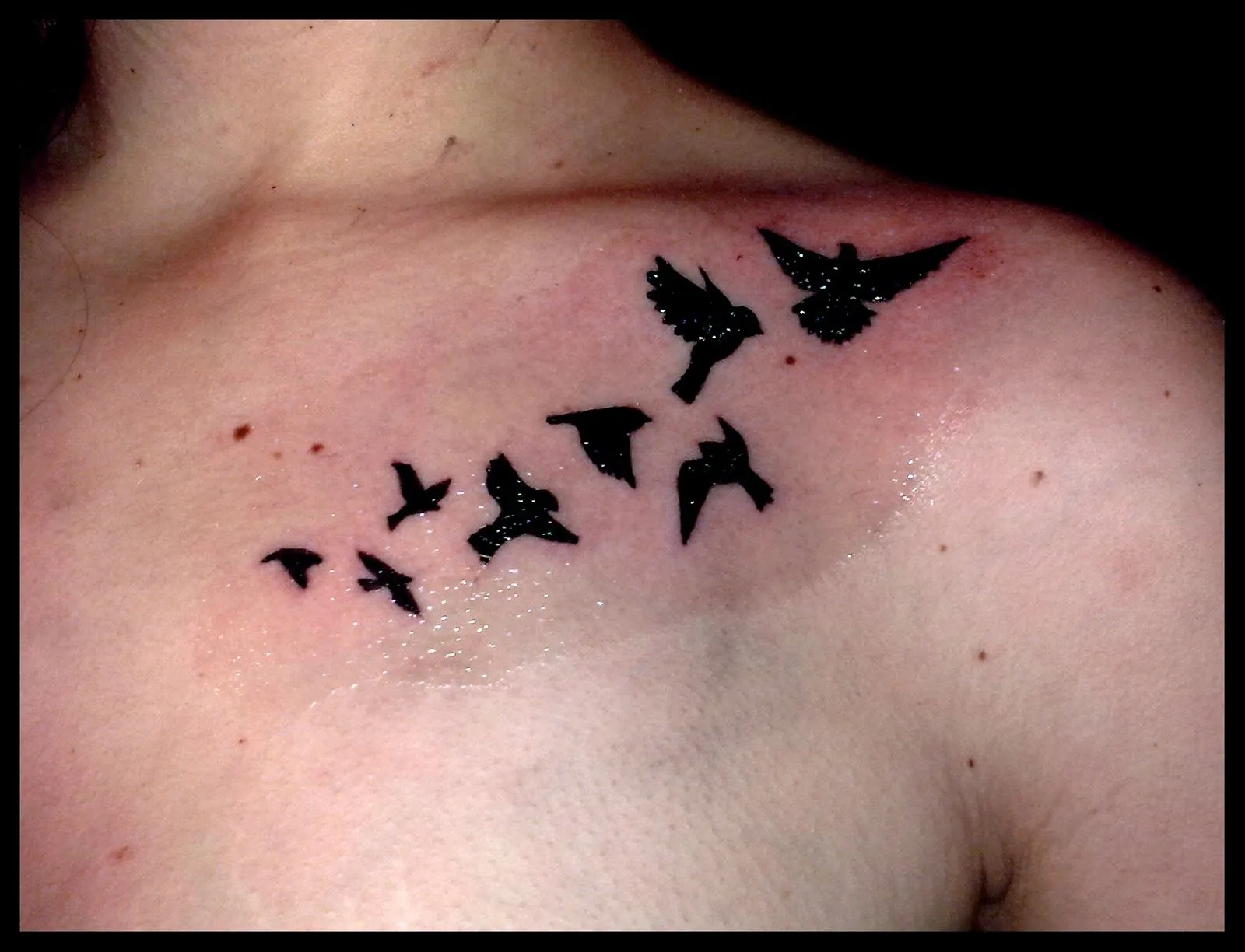 Tatuajes de pajaros. | tattoandpiercing
