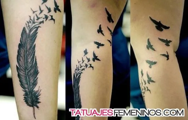 tatuajes de plumas para mujeres 5 | Tattoos | Pinterest tatuajes de plumas para mujeres 5 | Tattoos | Pinterest