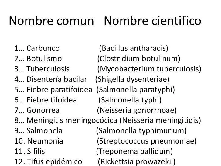 taxonoma-y-nomenclatura- ...