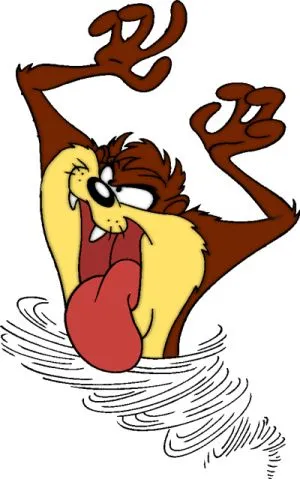Taz Tasmanian devil at Bonorong Wildlife Sanctuary | Outback Snack Taz Tasmanian devil at Bonorong Wildlife Sanctuary | Outback Snack