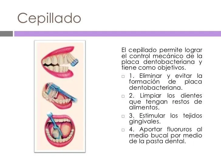 tcnicas-de-cepillado-4-728.jpg ...