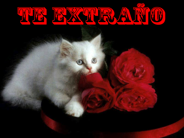 te-extraño-con-imagenes-de- ...
