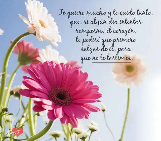 Todas las páginas con frases y mensajes de amor de NorfiPC Todas las páginas con frases y mensajes de amor de NorfiPC