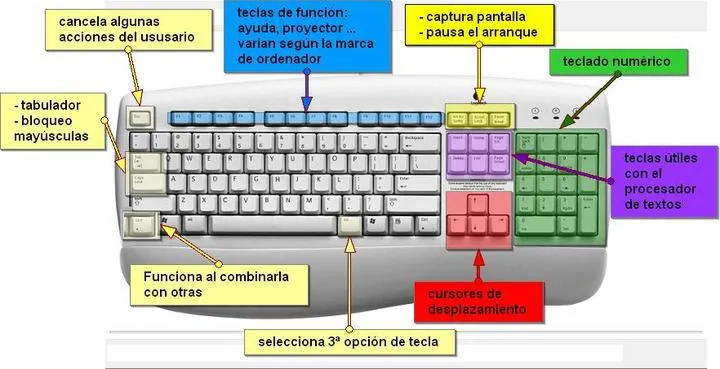 Teclado del Ordenador Tipos y Sus Partes